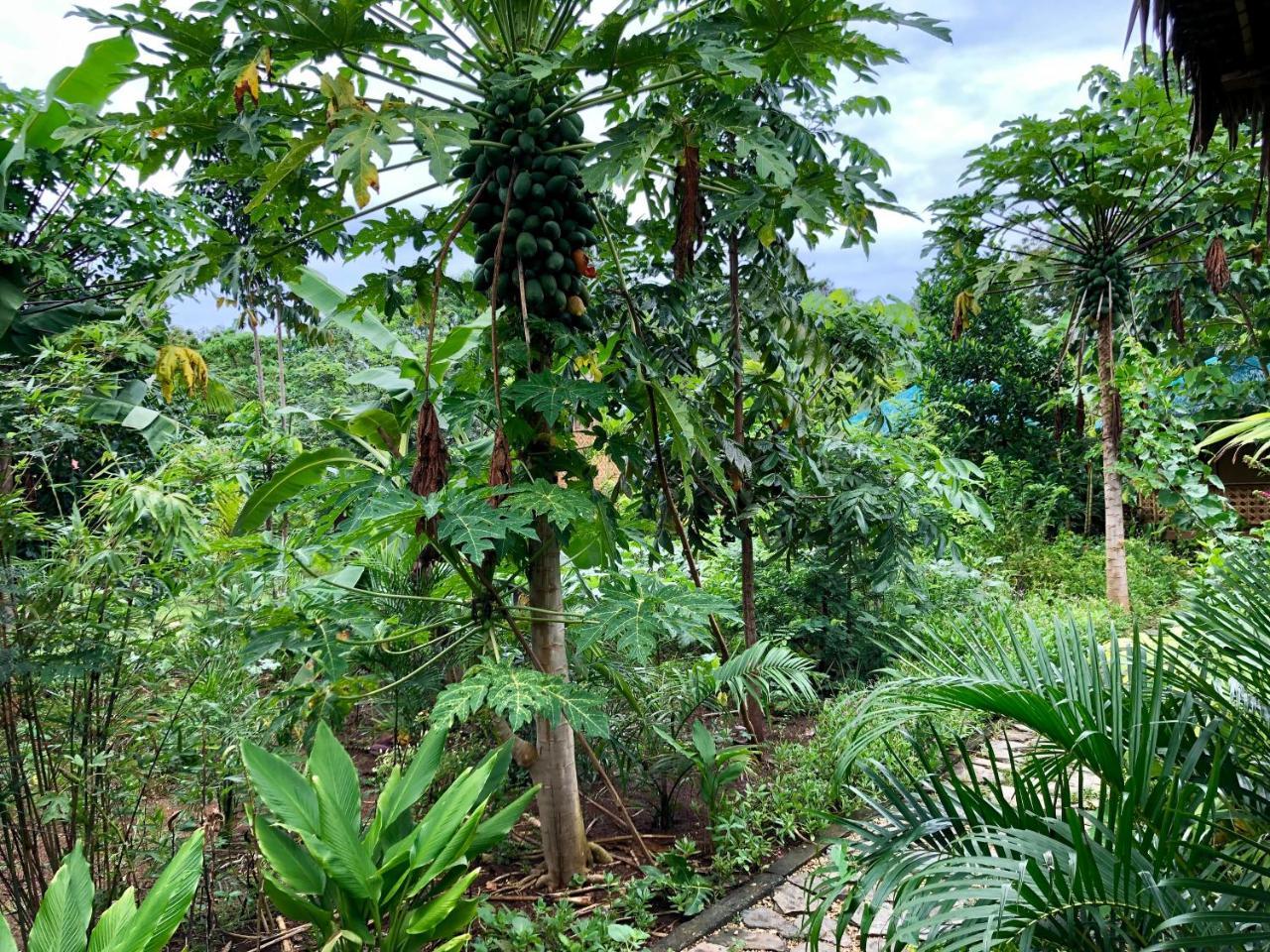 House @Bohol Garden Homes بنغلاو المظهر الخارجي الصورة