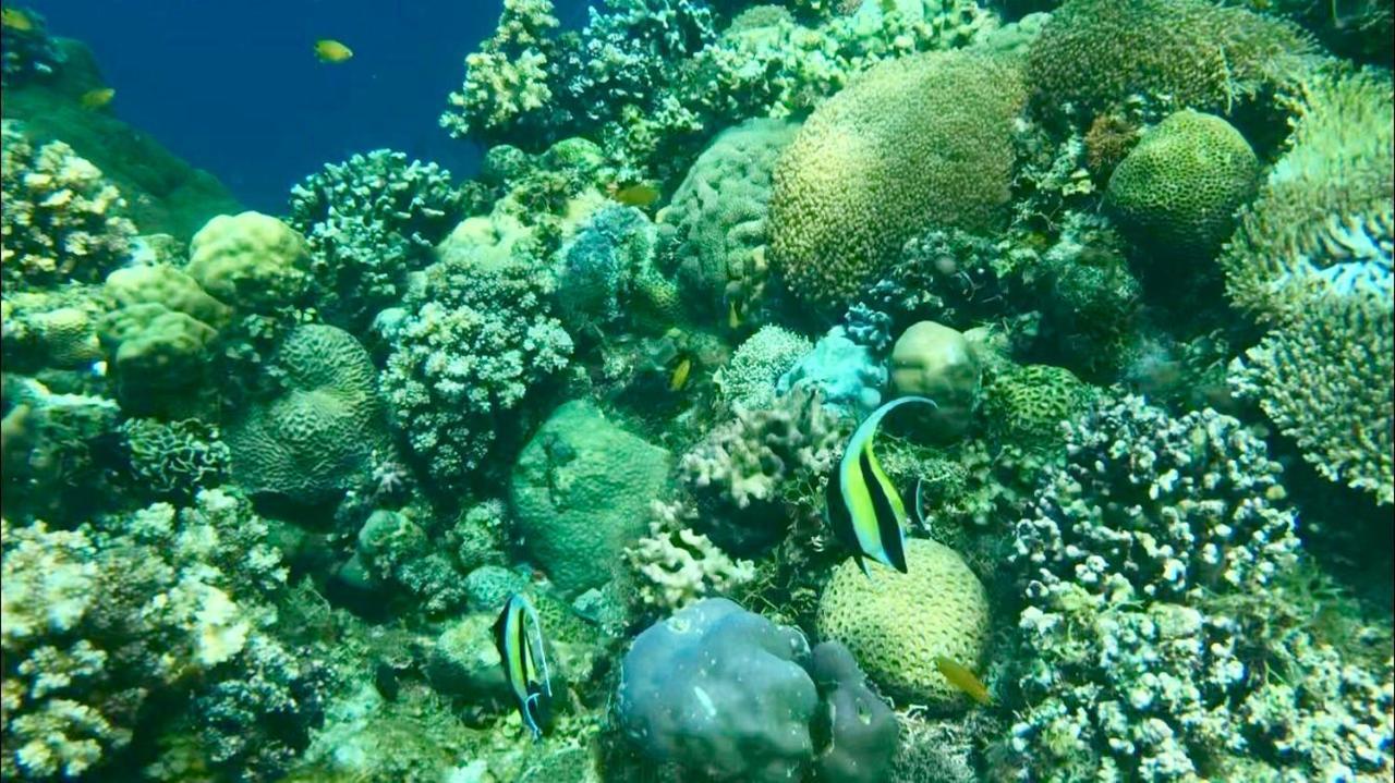 House @Bohol Garden Homes بنغلاو المظهر الخارجي الصورة