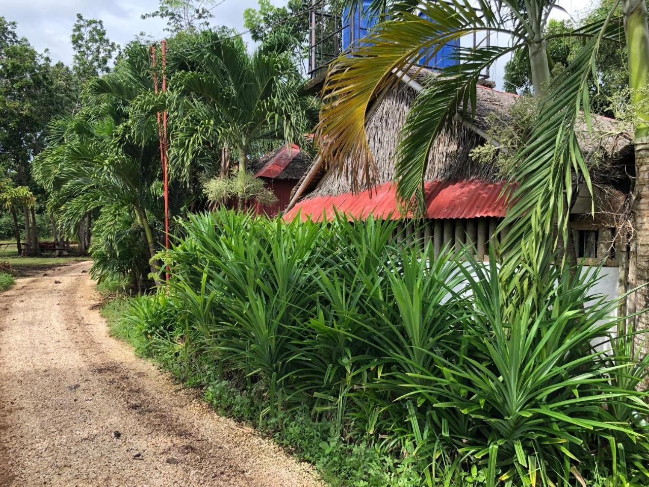 House @Bohol Garden Homes بنغلاو المظهر الخارجي الصورة