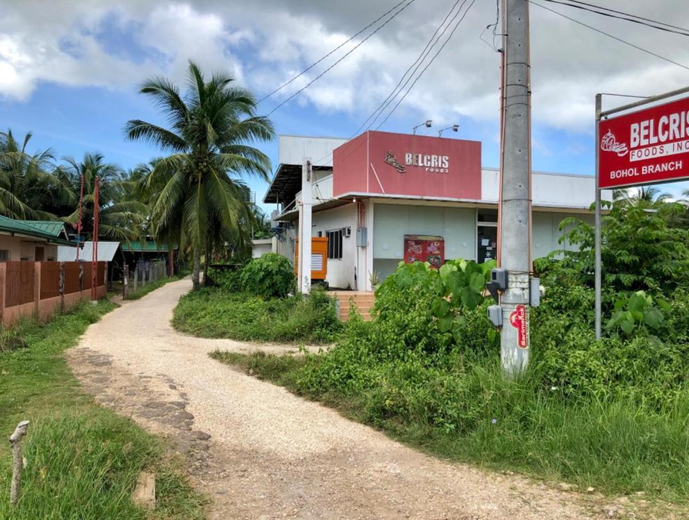 House @Bohol Garden Homes بنغلاو المظهر الخارجي الصورة